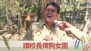 譚詠麟、陳百祥、彭健新黃金海岸動物園執屎｜譚校長俾澳洲野狗女圍｜抱抱樹熊餵食尤加利葉｜超齡打工假期 譚詠麟 陳百祥 彭健新