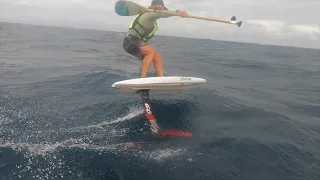 The longest left hander on the Northern Beaches Avalon to Collaroy