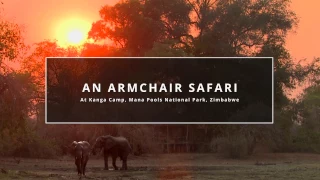An Armchair Safari at Kanga Camp, Mana Pools National Park, Zimbawbe