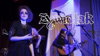 ŻYWIOŁAK - DZIADYGA (LIVE HQ)