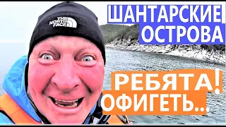 Два кита чуть не перевернули лодку!  Шантарские острова / Гренладский кит  18+