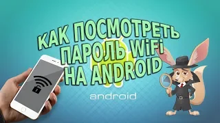 Как посмотреть пароль WiFi на Android