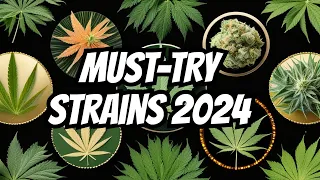 Top 10 Cannabis Strains to Try in 2024