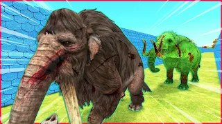 Zombie Elephant attacked Elephant mammoth survivors in maze | Temple run 2 Versuslife 2k23