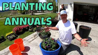 Planting Annuals in the Landscape 2019. Containers and baskets