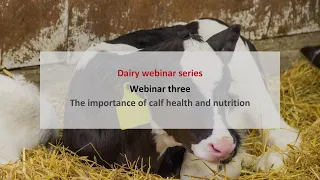 Future of dairy farming: the importance of calf health and nutrition