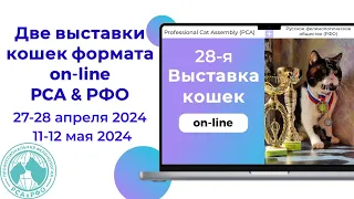 Анонс 28-й выставки кошек PCA on-line 28-28.04.2024г.