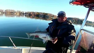 Striper Fishing In February! Smith Mountain Lake ❤