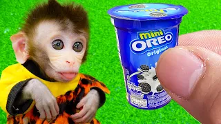 🔴Monkey Baby Bi Bon went to the supermarket to buy Mini OREO and eat chocolate ice cream | Animal HT