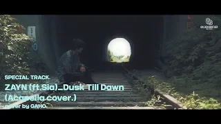 [LIVE] Zayn - 'Dusk Till Dawn' Acapella Ver. Covered by 가호(Gaho) [4songs_뽀송즈]