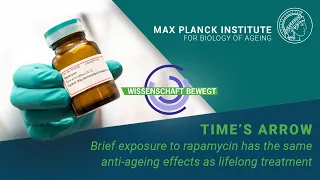 Time’s arrow: Brief exposure to rapamycin has the same anti-ageing effects as lifelong treatment