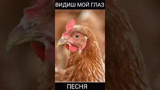 Песня про курочку