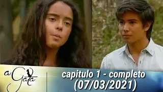 a gata capitulo 1 - completo  (07/03/2021)