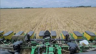 Planting Corn into standing Cover Crop, No planter updates needed.