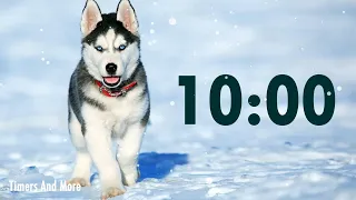 10 Minute Dog Timer 🐶 | Dog Barking Alarm