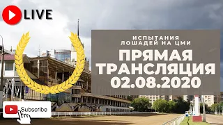 02.08.2020. Прямая трансляция с ЦМИ. Большой Всероссийский приз (Дерби).