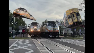 SunRail + Amtrak Railfanning + Hornshows