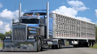 Livestock Hauler Kenworth W900 (CAT C15 6NZ) - Scenic Road from Texas to Colorado