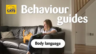 Cat body language | Cats Protection behaviour guides