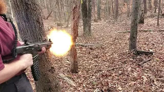 Cutting down a tree with a 12 gauge