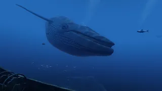 VR Whale Encounter - theBlu Immersive VR Series 60FPS