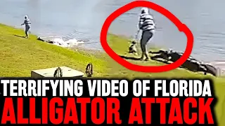 TERRIFYING! Footage of Alligator STALKING 85-Year-Old Woman & Her Dog and ATTACKING!