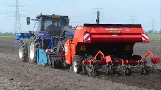 Aardappelen poten met NH T7.270 + Miedema CP42. Nieboer Alteveer.