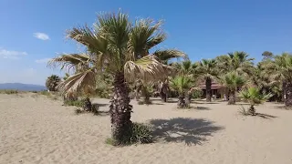 Pamucak #Beach Kusadasi Türkiye #Mediterranean Sea Ägäis #Summer Sun #4K UHD with Dji Pocket 2 Video