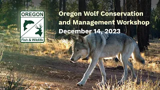 Oregon Wolf Conservation and Management Workshop Part 3