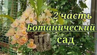 Ботанический сад (Цветник) Орхидеи и Кактусы. 2 часть.