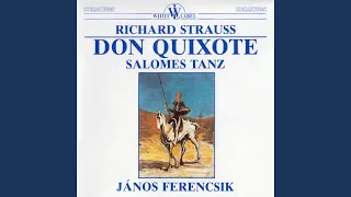 Don Quixote fantastic variations, Op.35: Variaton X. Viel breiter