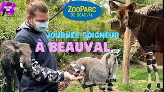 JOURNEE SOIGNEUR AU ZOOPARC DE BEAUVAL !