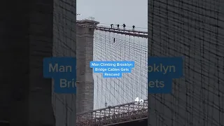 Man Climbing Brooklyn Bridge Cables Gets Rescued #shorts