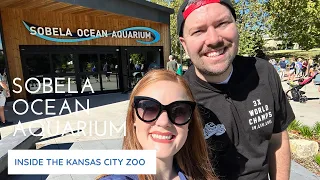 Things To Do In Kansas City - Sobela Ocean Aquarium at The Kansas City Zoo