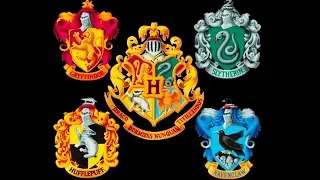 What Hogwarts House is This 'Harry Potter' Novice?