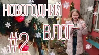 Новогодний влог / part #2