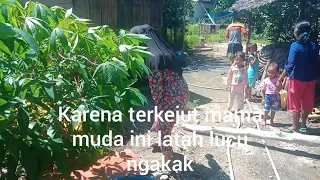 Latah lucu ngakak abis