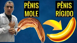 Coisas que fazem o pênis ficar mais rígido