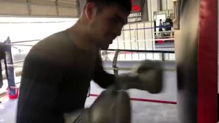 All of RGBA fighters killing heavybags - esnews