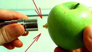 What Will Happen, If You Bring MAGNET to an APPLE? Science Experiment