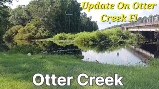 Update On Otter Creek Fl. Otter Creek Fl Is Coming Together