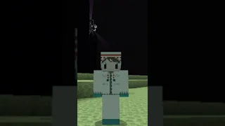 KILLING THE Ender Dragon INSTANTLY! | Minecraft Meme