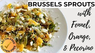 Brussels Sprouts, Fennel, Orange, & Pecorino Salad | Lectin-Free, Gluten-Free, Grain-Free 🍊