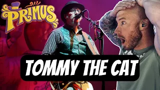 Drummer Reacts To| Primus Tommy the Cat Live FIRST TIME HEARING Reaction