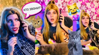 КОТ НЕ ДАЁТ УСНУТЬ 😹 Мама в Шоке 🙀 Мама и Доча прикол из Тик Ток Скетч Бига Егоров 😼 Tik Tok cat