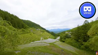 VR180 Trip Japan's amazing rice terraces 8K Video