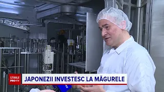 Laserul de la Măgurele va fi comprimat la câțiva microni cu ajutorul unei oglinzi de 1 milion €