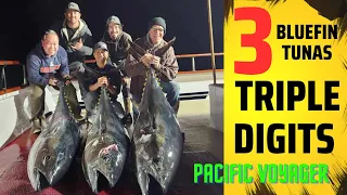 PHOENIX FISHING SUPPLY CHARTER ON THE PACIFIC VOYAGER - GIANT BLUEFIN TUNA AND HEARTBREAKS.