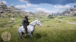 RDR2 - I stole a rare Few Spotted Appaloosa!