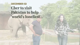 Cher to visit Pakistan to help 'world's loneliest elephant'